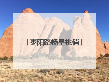 枣阳路畅皇桃俏