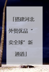 搭建河北外贸优品“卖全球”新通道