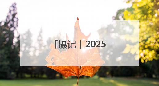 摄记丨2025届高考生，到底收到了多少祝福？