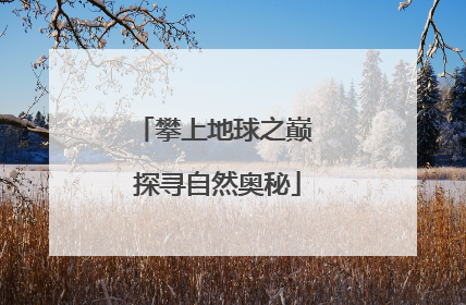 攀上地球之巅 探寻自然奥秘