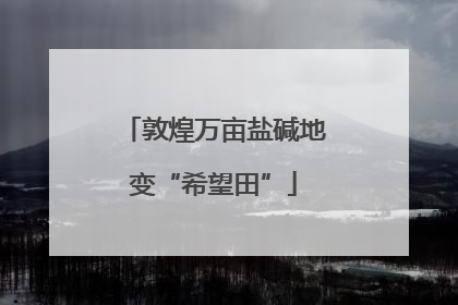 敦煌万亩盐碱地变“希望田”