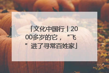文化中国行丨2000多岁的它，“飞”进了寻常百姓家