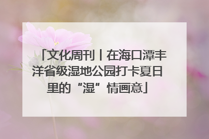 文化周刊丨在海口潭丰洋省级湿地公园打卡夏日里的“湿”情画意