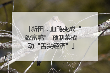 新田：血鸭变成“致富鸭” 预制菜撬动“舌尖经济”