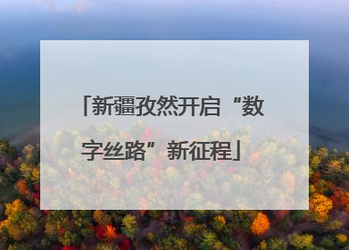 新疆孜然开启“数字丝路”新征程