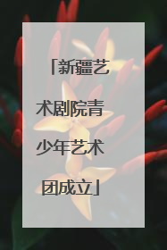 新疆艺术剧院青少年艺术团成立