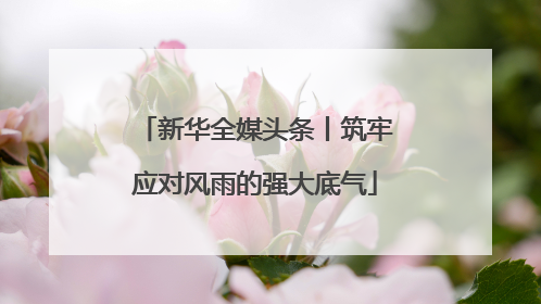 新华全媒头条丨筑牢应对风雨的强大底气
