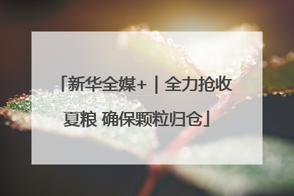 新华全媒+｜全力抢收夏粮 确保颗粒归仓