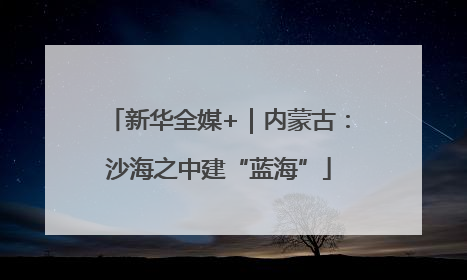 新华全媒+｜内蒙古：沙海之中建“蓝海”