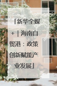 新华全媒+｜海南自贸港：政策创新赋能产业发展
