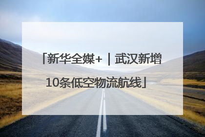 新华全媒+｜武汉新增10条低空物流航线