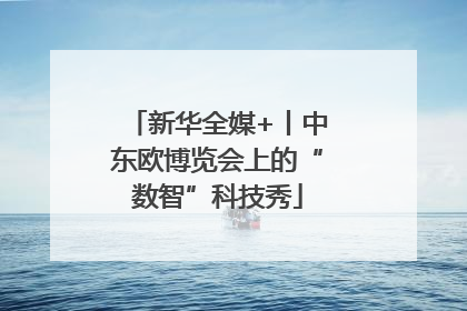 新华全媒+丨中东欧博览会上的“数智”科技秀