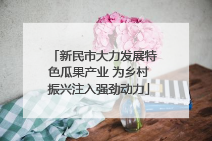 新民市大力发展特色瓜果产业 为乡村振兴注入强劲动力