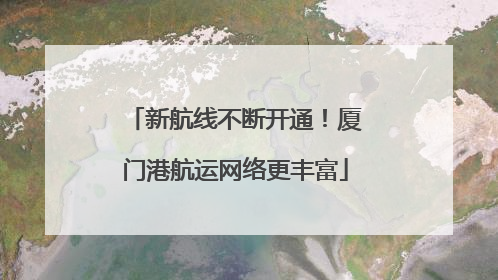 新航线不断开通！厦门港航运网络更丰富