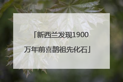 新西兰发现1900万年前喜鹊祖先化石