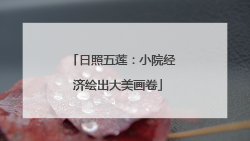 日照五莲：小院经济绘出大美画卷