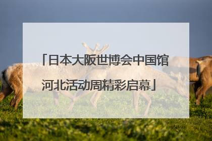 日本大阪世博会中国馆河北活动周精彩启幕