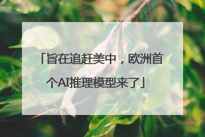 旨在追赶美中，欧洲首个AI推理模型来了