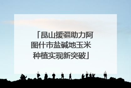 昆山援疆助力阿图什市盐碱地玉米种植实现新突破