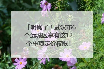 明确了！武汉市6个远城区享有这12个事项定价权限