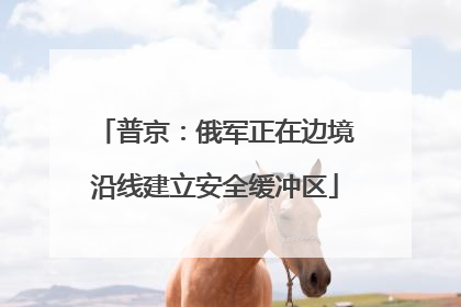 普京：俄军正在边境沿线建立安全缓冲区
