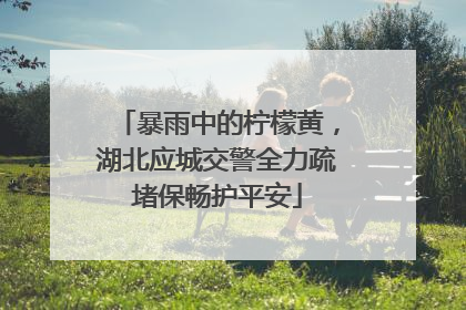暴雨中的柠檬黄，湖北应城交警全力疏堵保畅护平安