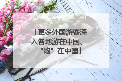 更多外国游客深入各地游在中国、“购”在中国