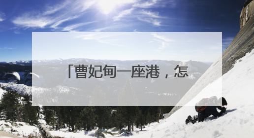 曹妃甸一座港，怎样带动一座城？人民日报记者调查