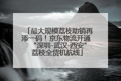 最大规模荔枝助销再添一码！京东物流开通“深圳-武汉-西安” 荔枝全货机航线