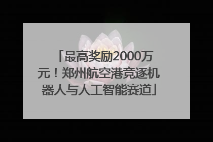 最高奖励2000万元!郑州航空港竞逐机器人与人工智能赛道