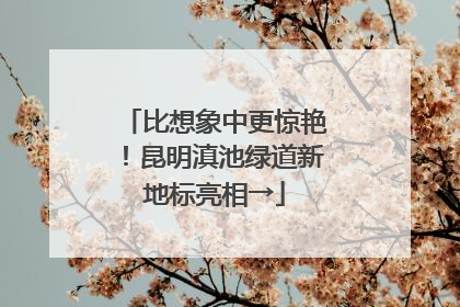 比想象中更惊艳！昆明滇池绿道新地标亮相→