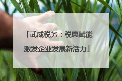 武威税务：税惠赋能 激发企业发展新活力