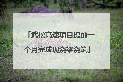 武松高速项目提前一个月完成现浇梁浇筑