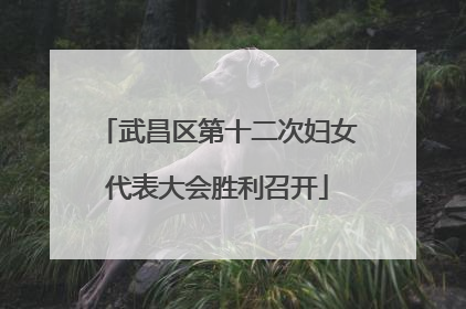 武昌区第十二次妇女代表大会胜利召开