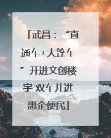 武昌：“直通车+大篷车”开进文创楼宇 双车并进惠企便民