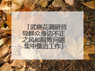 武晓花调研督导群众身边不正之风和腐败问题集中整治工作