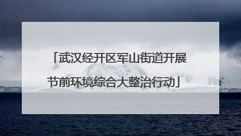 武汉经开区军山街道开展节前环境综合大整治行动