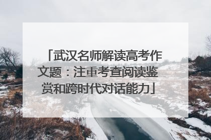 武汉名师解读高考作文题：注重考查阅读鉴赏和跨时代对话能力