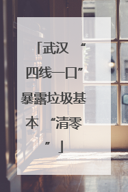 武汉 “四线一口”暴露垃圾基本 “清零”
