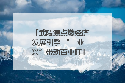 武陵源点燃经济发展引擎 “一业兴”带动百业旺