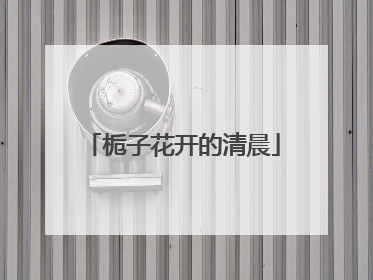 栀子花开的清晨