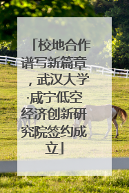 校地合作谱写新篇章，武汉大学·咸宁低空经济创新研究院签约成立