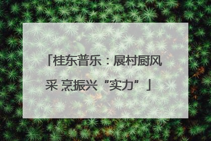 桂东普乐：展村厨风采 烹振兴“实力”