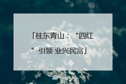 桂东青山：“四红”引领 业兴民富