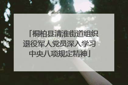 桐柏县清淮街道组织退役军人党员深入学习中央八项规定精神