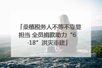 桑植税务人不等不靠显担当 全员捐款助力“6·18”洪灾重建