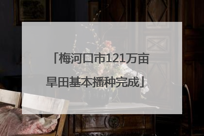 梅河口市121万亩旱田基本播种完成
