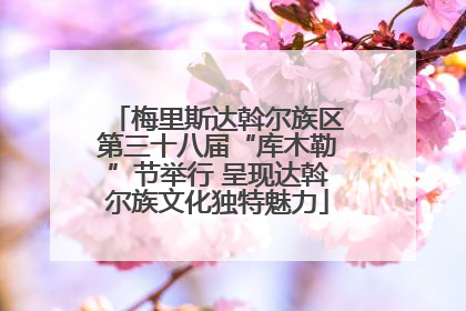 梅里斯达斡尔族区第三十八届“库木勒”节举行 呈现达斡尔族文化独特魅力