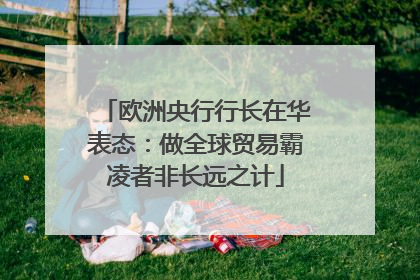 欧洲央行行长在华表态：做全球贸易霸凌者非长远之计