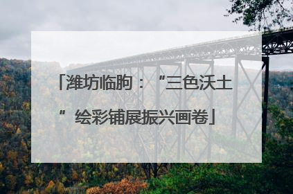 潍坊临朐：“三色沃土”绘彩铺展振兴画卷